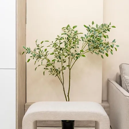 Ts Modern 2br At New Bazaar -